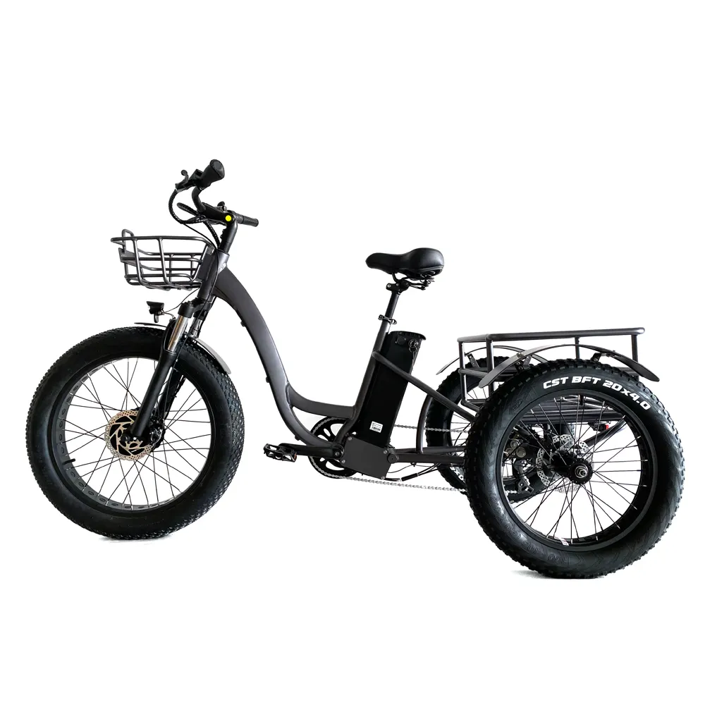 48v Lithium battery 500w three wheel electric bicycles family electric cargo bike 3 wheel electric bike