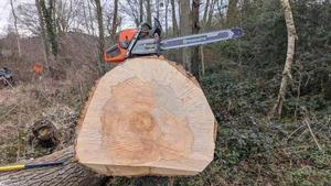 Hus 592xp Chain <b>Saw</b> <b>Saw</b> Mill Machine Wood Cutting GAS Chainsaw Petrol <b>POWER</b> <b>Saw</b> 92.7cc 5.6kw Motosierra - Product Image 4