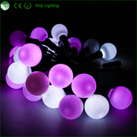 Luces LED RGB de 5/12V para Decoración Navideña, Uso en Paisajes, Bodas y Fiestas, IP66, Ángulo de Visión de 360°, 2 Años de Garantía