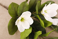 Bunga Magnolia Artifisial Grosir untuk Dekorasi Rumah, Bunga Latex Putih untuk Dekorasi Pernikahan dengan Daun Hijau untuk Acara