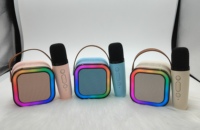 Mini microphone portable, microphone intégré, karaoké familial, enceinte portable sans fil BT pour la maison et l'extérieur
