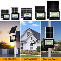 Ip65 Panneau de projecteur LED solaire extérieur 100W/300W Lampe d'inondation solaire Blanc chaud CCT pour modèle de jardin LED solaire