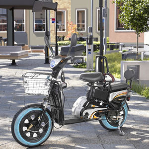Bicicleta Eléctrica <span class=keywords><strong>de</strong></span> Carretera Directo <span class=keywords><strong>de</strong></span> Fábrica, Cuadro <span class=keywords><strong>de</strong></span> Acero con Motor sin Escobillas <span class=keywords><strong>de</strong></span> 500W, Alcance <span class=keywords><strong>de</strong></span> 60 km, Funciones Electrónicas, Buen <span class=keywords><strong>Precio</strong></span>, Popular - Product Image 3