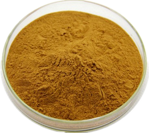 Giá tốt nhất bán buôn <span class=keywords><strong>dipsacus</strong></span> fullonum chiết xuất thảo dược bổ sung teasel chiết xuất từ rễ bột dipsaci chiết xuất bột - Product Image 3