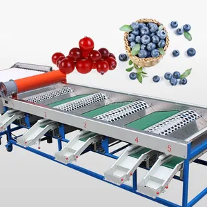 Factory Price Commercial Roller Type Blueberry Apple Citrus Fruit Sorting Machine