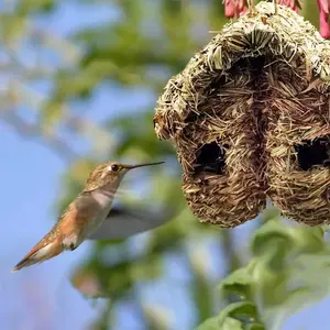 Çift Ağızlı Çim Kuş Evi Dış Mekan Kuş Yuvası - Product Image 4