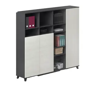 Fancy design Black 2 doors filex flat filing cabinet
