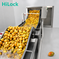 Mango verwerkingslijn 2026, productiefaciliteit voor mangopuree, machine voor het extraheren van fruitpulp voor de verwerking van mangosap en -puree