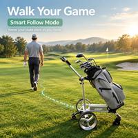 Voiturette de golf électrique intelligente OEM 2026 en gros, avec fonction de suivi automatique, télécommande, pliable, légère et longue portée