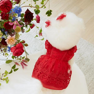 2025 Pet Verão Renda Princesa Saia Dog Cat Roupas Finas + Headwear - Product Image 4