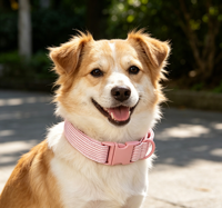 Collier en nylon rayé réglable et personnalisable pour chiens et chats de taille moyenne à grande, accessoire pour animaux de compagnie à haute élasticité