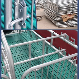 Gabbia di Parto Doppia Integrata Zincata a Caldo per Scrofe, Attrezzatura Specializzata per l'Allevamento Suino - Product Image 5
