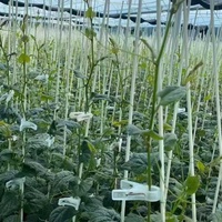 Meilleures ventes : Barre solide en fibre de verre FRP durable
