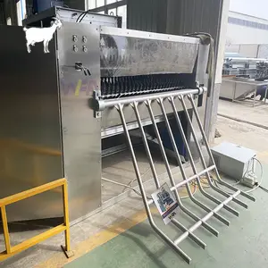 Sheep Slaughterhouse Lamb Hair Removal Machine Ram Abattoir Slaughter Line For Goat Slaughtering Equipment