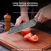 10Pcs Set Pisau Dapur Simulasi Damaskus 4CR13 Baja Tahan Karat Gagang Kayu Berwarna Pisau Kombinasi Kustom Dengan Kotak Hadiah Hitam