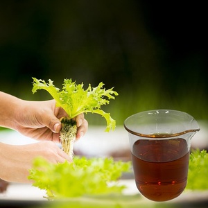 Fertilizante líquido de aminoácidos de plátano y tomate 50% origen vegetal de harina de soja orgánica - Product Image 1