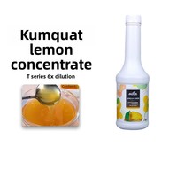 Jus Buah & Sayur Campuran Rasa Kumquat Lemon Taihu Merrill Lynch Non-Konsentrat Untuk Penggunaan Komersial 1.2kg dalam Botol