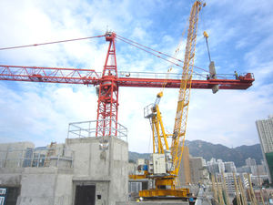 Grue à tour de chantier WD80 1840 - Product Image 6