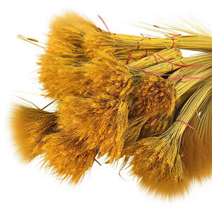 Bouquet <span class=keywords><strong>de</strong></span> fleurs séchées écologiques en forme <span class=keywords><strong>d</strong></span>'<span class=keywords><strong>épi</strong></span> <span class=keywords><strong>de</strong></span> <span class=keywords><strong>blé</strong></span> doré, simulation <span class=keywords><strong>d</strong></span>'<span class=keywords><strong>orge</strong></span> pour aménagement paysager, <span class=keywords><strong>d</strong></span>écoration <span class=keywords><strong>de</strong></span> maison, mariage, Noël, cadeau DIY en gros - Product Image 2