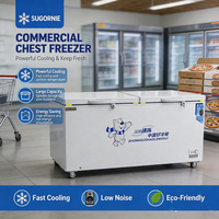 Congélateur horizontal commercial grande capacité, double porte pleine, avec serrure, pour aliments surgelés, supermarché, vente au détail