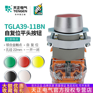 Tengen TGLA39 <b>Push</b> <b>Button</b> <b>Switch</b> Silver Dot Self-resetting Start Stop IP40 - Product Image 5