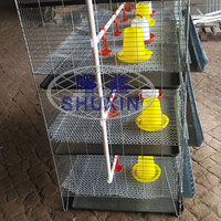 Prix des cages à poulets en fil de fer pour élevage avicole, cages à poulets pondeuses, cages pour poussins