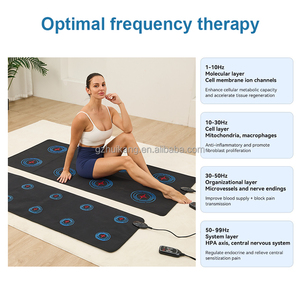 Tapete PEMF Plegable Fitkang OEM Personalizado con Ajuste de Frecuencia Inexacto de 1-99hz, Tapete PEMF Profesional con Campo Magnético Suave y Estable - Product Image 5