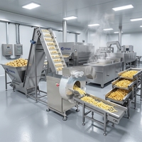 Ligne de production industrielle de frites surgelées, friteuse continue, équipement de production de chips de pommes de terre, nuggets de poulet, snacks