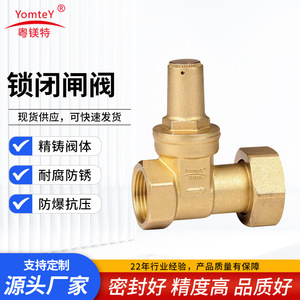Guangdong Magnesium Special Brass Gate Valve 1/2 Inch Single Gate Locking For Water And Other Media - Product Image 5
