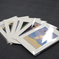 Cadre photo imprimé sur carton sans acide, illustration artistique, affiche Giclée encadrée, peinture décorative, photo de célébrité