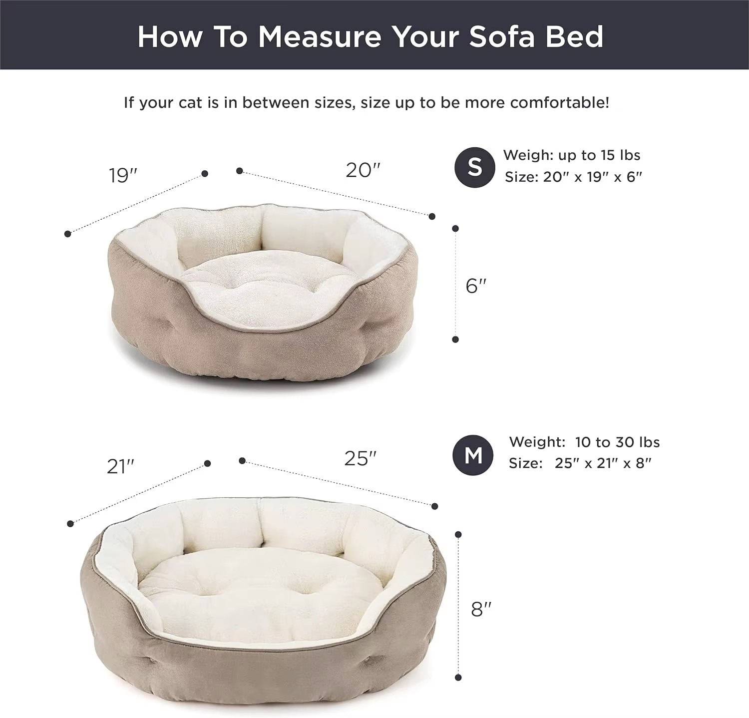 animal beds