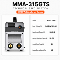 Machine à souder MMA à double alimentation électrique, soudeuse à l'arc MMA 315GTS DC Inverter pour la soudure de l'acier et de l'acier inoxydable