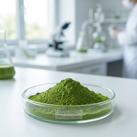 Poudre de Matcha en vrac 450 Mesh, qualité standard, sac de 25 kg pour l'approvisionnement des usines de transformation alimentaire