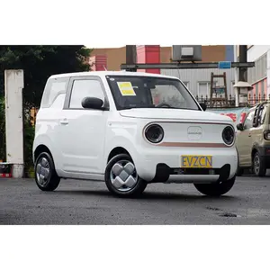 Small Household Electric Vehicle Geely Panda Mini 0km Second-Hand Alternative Fuel Vehicle Mini Car