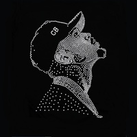 Transfert thermocollant en strass Raymond & Brown Tour pour T-shirt, sweat à capuche et casquette – Collection Usher Chris Brown Bling