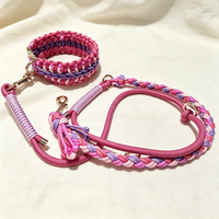 Ensemble collier et laisse pour chien assortis, collier tressé doux avec anneaux métalliques et laisse en corde paracorde pour les promenades en ville et cadeau pour animal de compagnie
