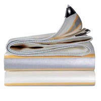 Bâche en plastique PE imperméable en tissu poly fabricant de bâche poly pour bâche à usage général