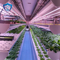 Conteneur de culture de légumes à feuilles en acier modulaire de grande taille, système de culture hydroponique intelligent DWC multi-espaces