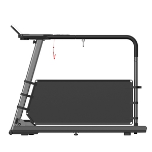 Tapis Roulant Elettrico Pieghevole con Inclinazione Automatica e Motore DC da 2.0HP per Uso Domestico, Attrezzatura Fitness Moderna - Product Image 1