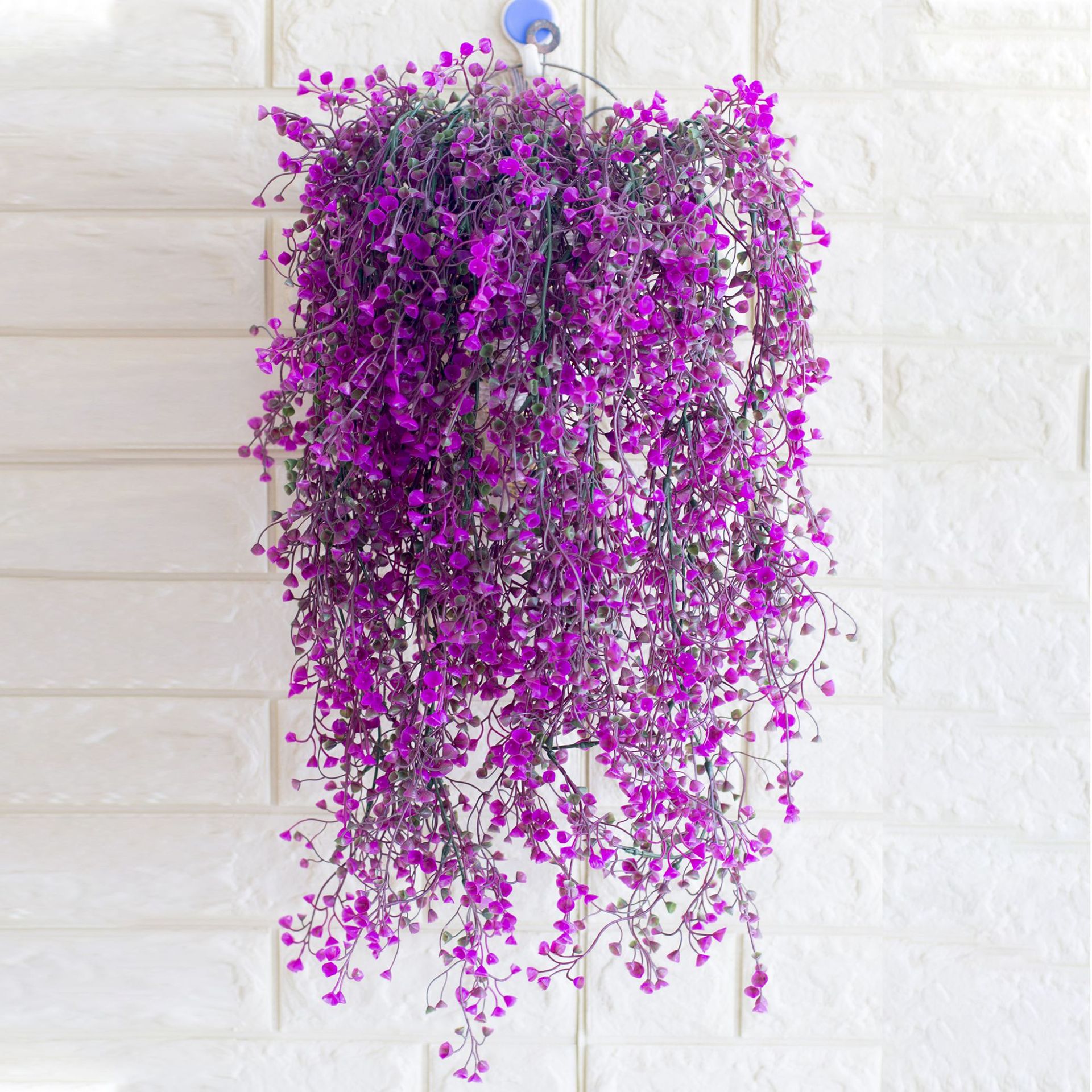 Little bellflower red lotus