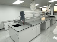 Table de laboratoire en plastique médical pharmaceutique, table de travail en métal, mobilier de laboratoire universitaire