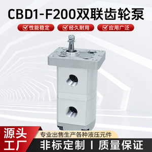 ปั๊มเกียร์คู่ Cbd1 F200 สแตนเลส 304 ปั๊มไฮดรอลิกไฟฟ้าแบบหมุน ปริมาณการไหลสูงสุด 1000 แรงดันสูงสุด 1 - Product Image 5