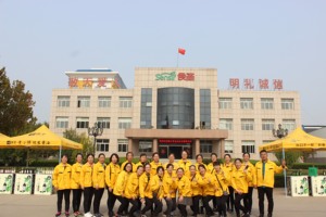 Pasta de <span class=keywords><strong>Wasabi</strong></span> en Sachet de 2.5g para Llevar, Venta al por Mayor para Restaurantes Japoneses, Precio Económico - Product Image 6