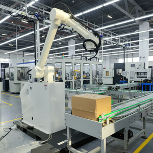Palettiseur robotisé automatique contrôlé par PLC pour la manutention, le tri et l'emballage - Marque Rayman - Product Image 1