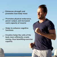 Créatine monohydrate en poudre, marque privée OEM, pour la croissance musculaire, le soutien des performances sportives, complément alimentaire en poudre pour le sport