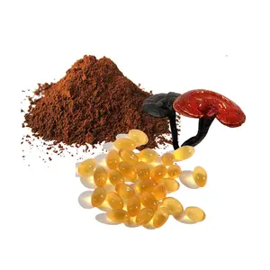 CHINA Guanxian Ganoderma lucidum aceite de esporas, cápsula de gel blando