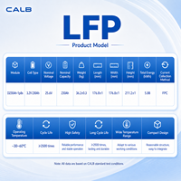 Modul CALB 230AH-1P8S 25.6V LiFePO4 5.88kWh Seri Terhubung ke Sistem Traksi 51.2V/102.4V/300V 2500 Siklus -30~60