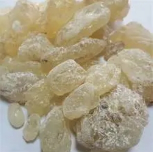100% Natural Dammar Gum Resin / Gum Damar for <b>Beeswax</b> Food <b>Wrap</b> CAS 9000-16-2 Indonesia Damar Resin Crystal with Cheap Price - Product Image 4
