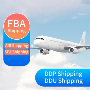 Ddp Ddu Internationale Logistiek Expediteur Verzending Diensten Van China Naar Korea Japan