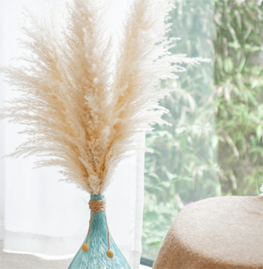 Erba della Pampa Grande all'Ingrosso 120 cm, Piume Soffici Secche, Fiori Naturali per Decorazioni Matrimoniali - Product Image 2